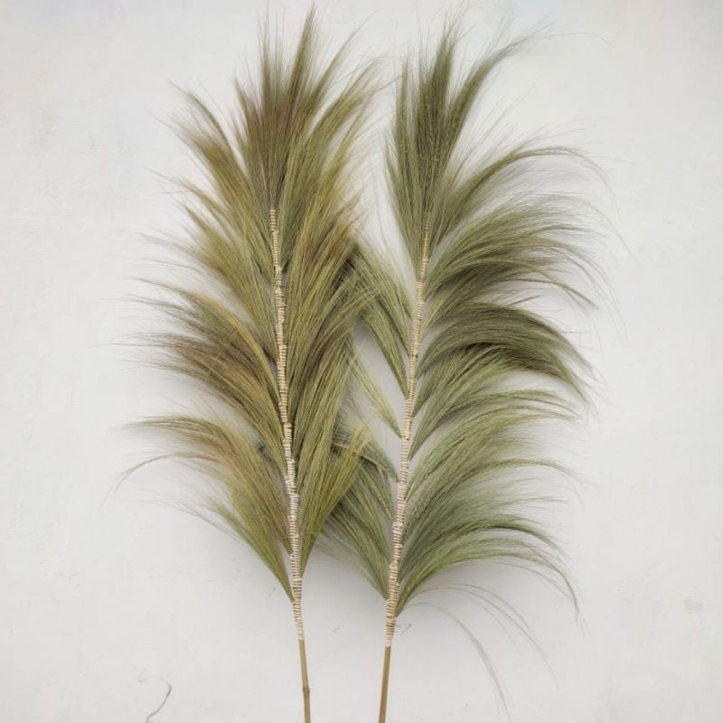 2m Surya Rayung Pampas in Set of 3