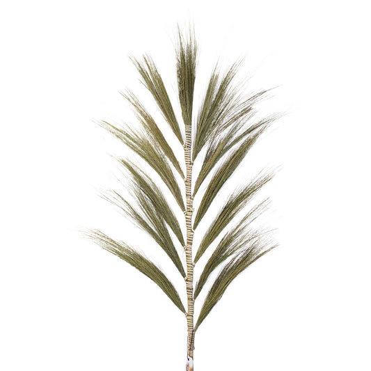 1.6m Surya Rayung Pampas in Set of 3