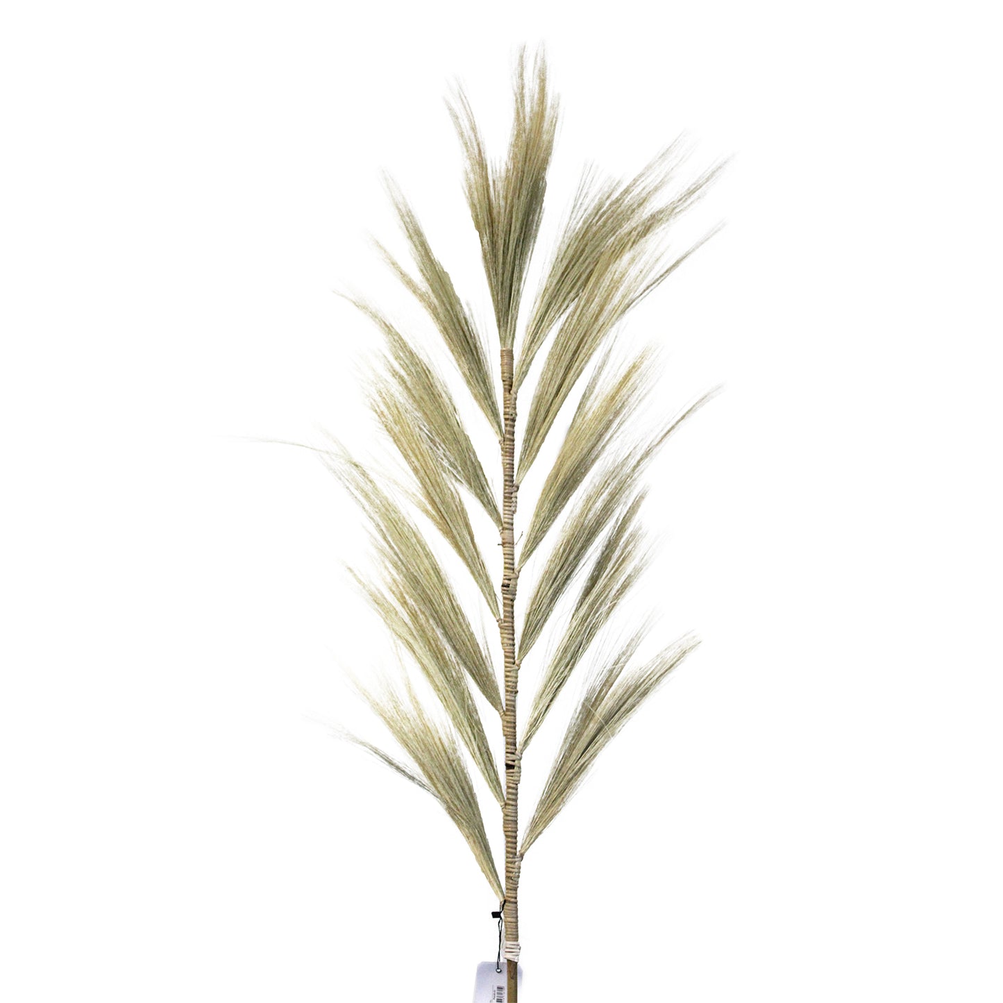 1.6m Surya Rayung Pampas in Set of 3