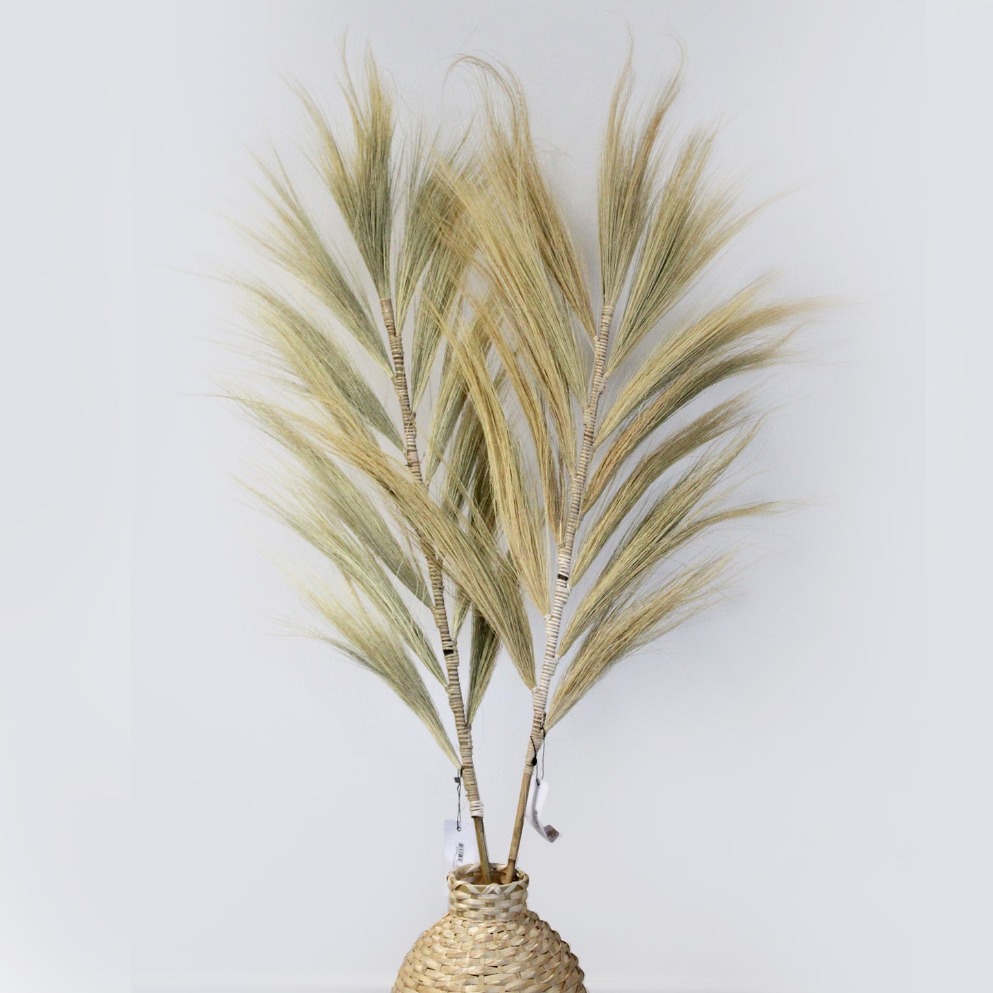 1.6m Surya Rayung Pampas in Set of 3