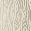 Anna French Surrey Woods Wallpaper AT6014