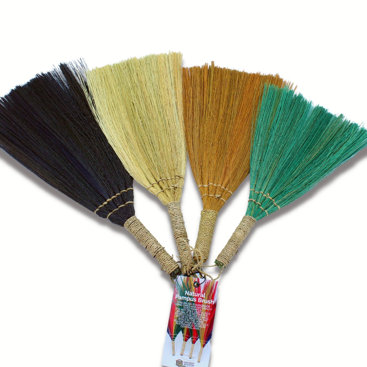 Set of 4 Pampas Fan Brooms