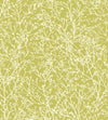 Anna French Zola Wallpaper AT34120, AT34122, AT34124